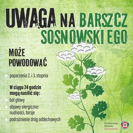 506539586 736292702128741 5380643428334371633 n