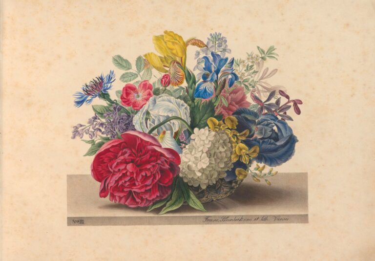 506619879 1248532880309953 1566574400415440913 n