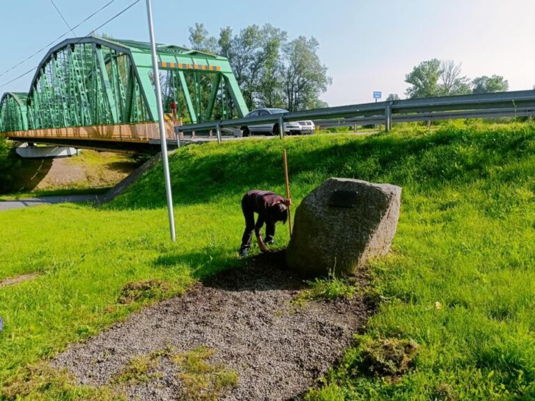 506628479 122239615046219523 749465540589496802 n