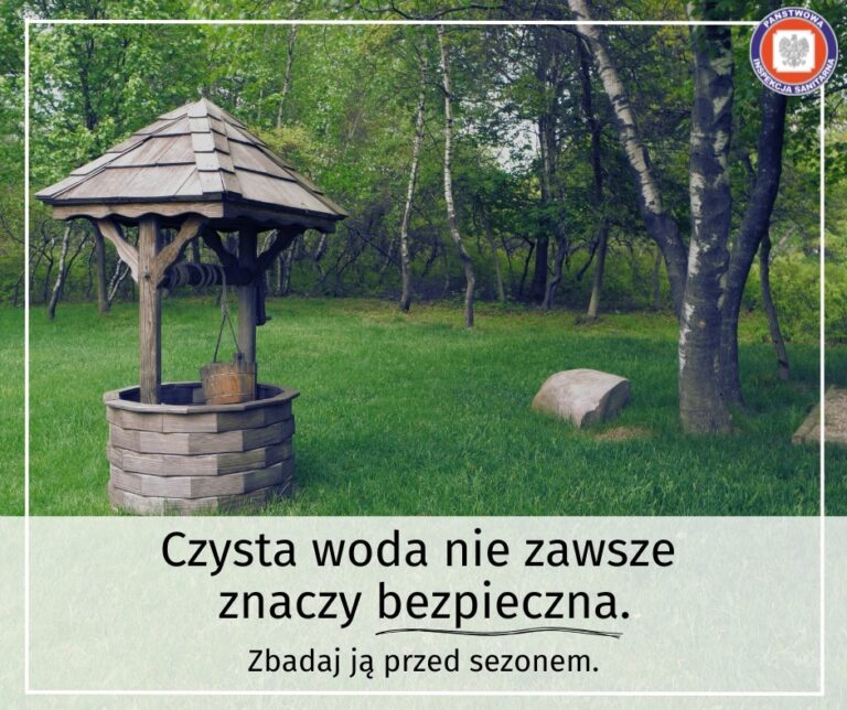 506697598 1118882513605435 295234263604383696 n