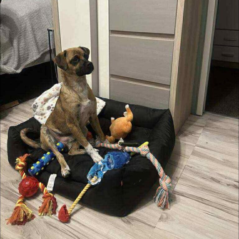 506967099 561957180319761 9058892084605280383 n