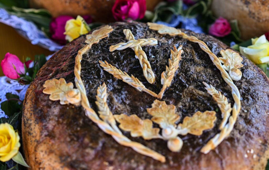 508103097 1104713668356452 2630998600122269977 N