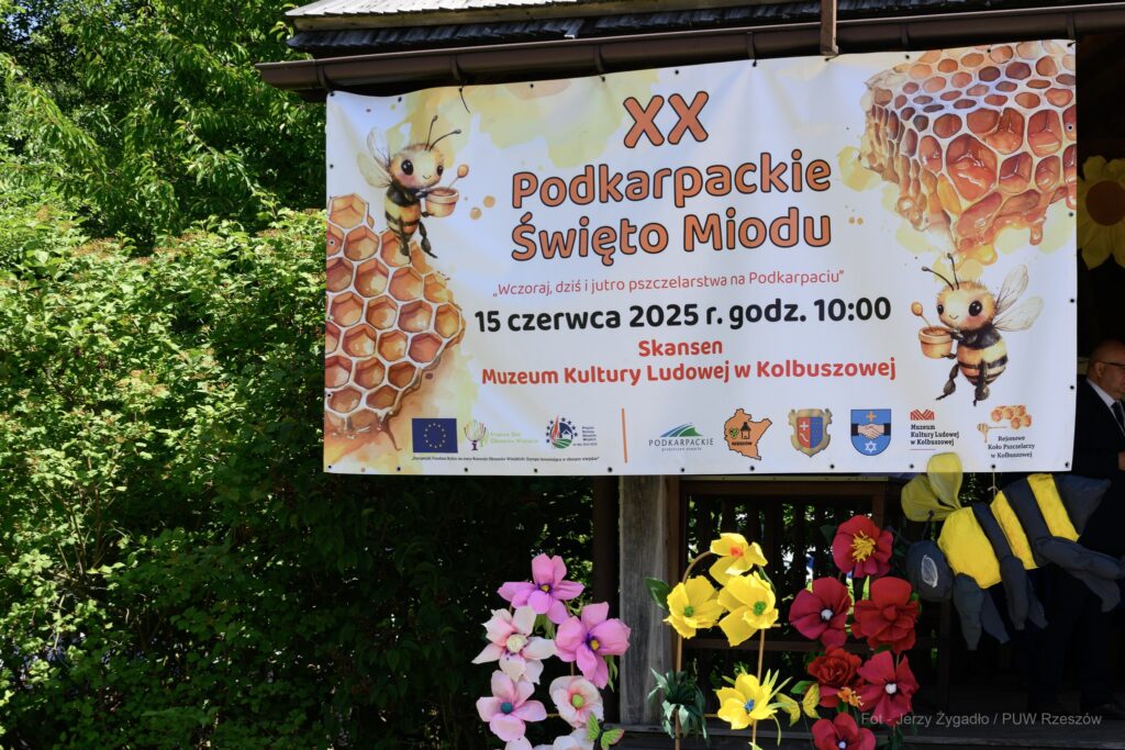 508164656 1091103109501206 8877965019504693805 N