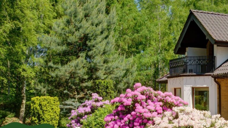 509028235 1104782675031234 6671209435142439022 n