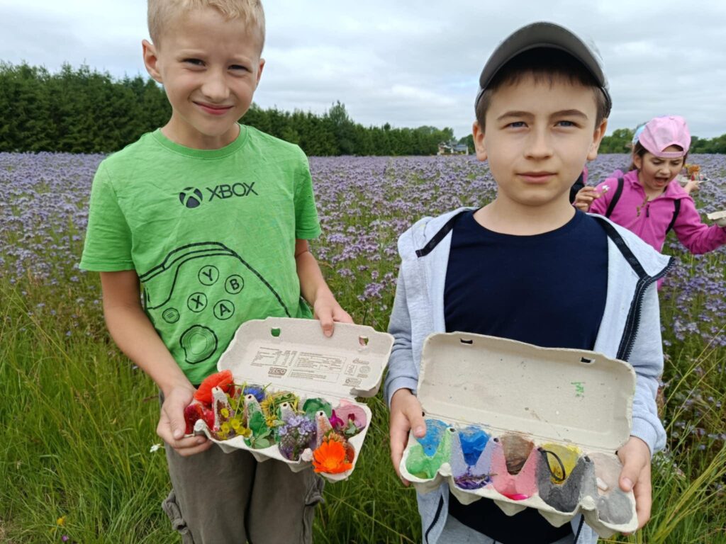 509265041 1105787461582406 3786986284951264792 n