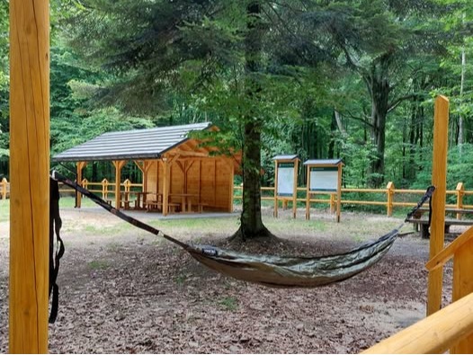 510505344 1158344766338853 3280471656580940085 1n