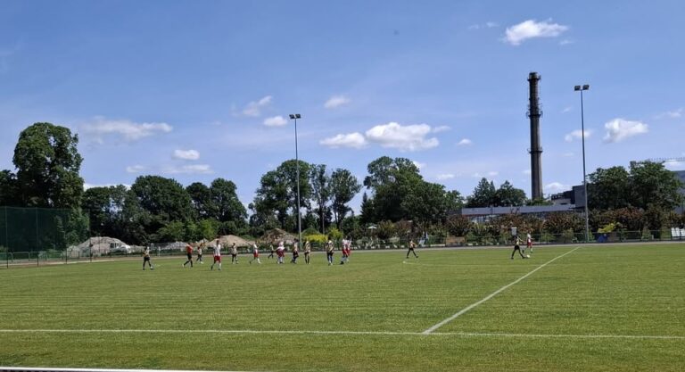 510808490 1222042636384676 1679616973522428947 n