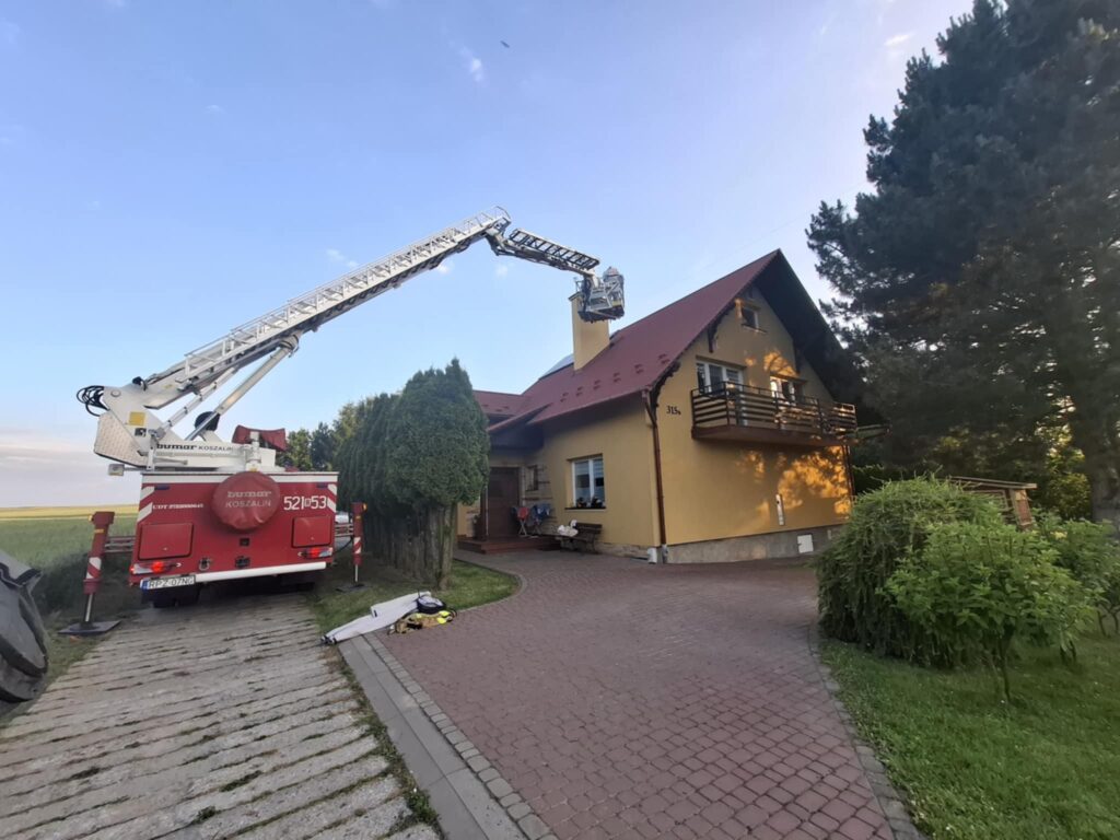 Interwencja strażaków w Gaci. Usunięto gniazdo niebezpiecznych owadów 1 511097547 1144054604430690 3581361237996784867 n