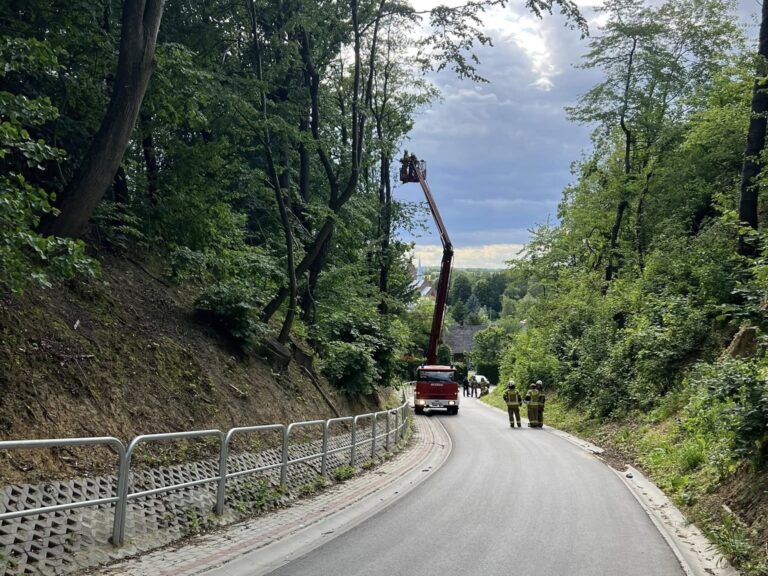 512927435 1129439505887126 3943363116214189079 n1