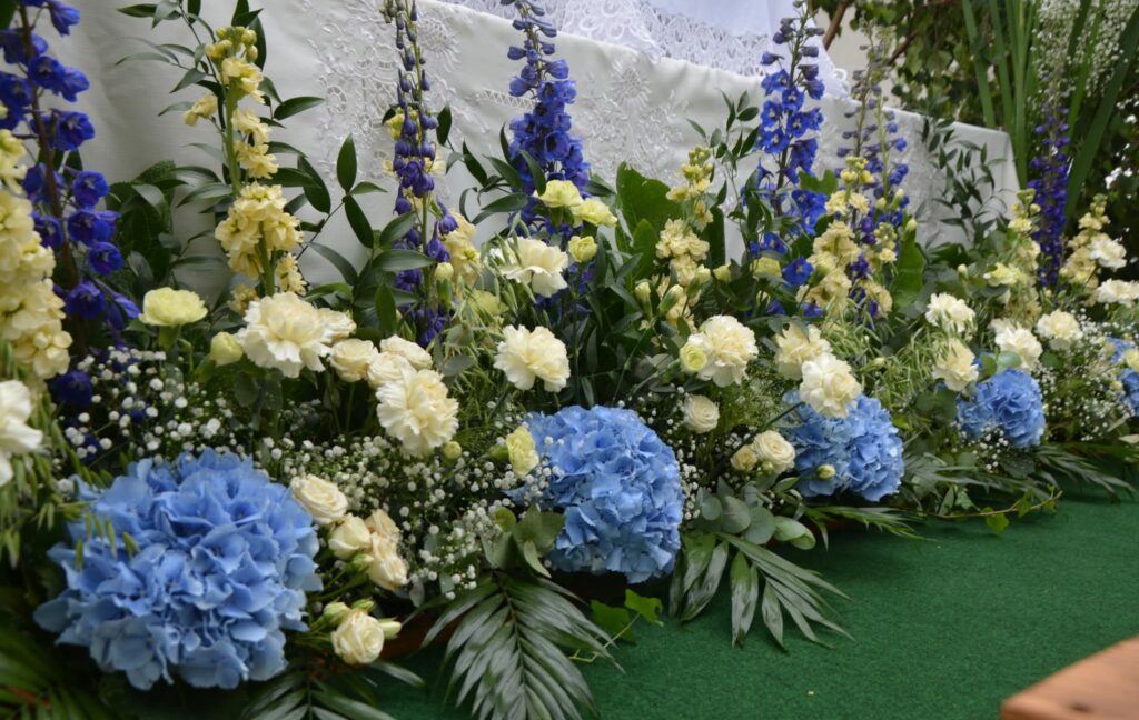 FB IMG 1750320213585 FB IMG 1750320213585