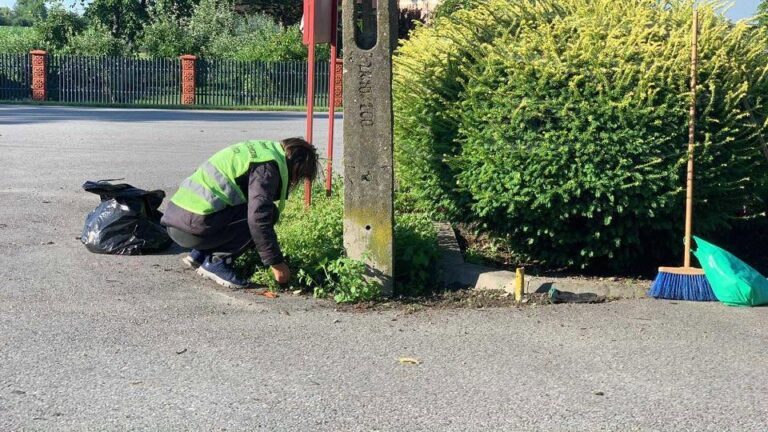 504431944 122245220150219523 3535182423518896101 n