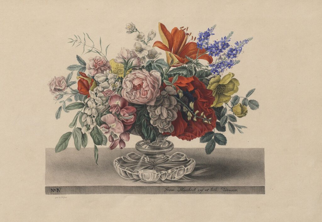 506712709 1259195725910335 8001606244826061923 n