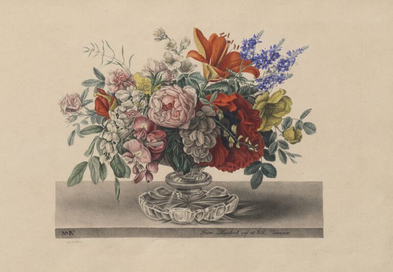 506712709 1259195725910335 8001606244826061923 n