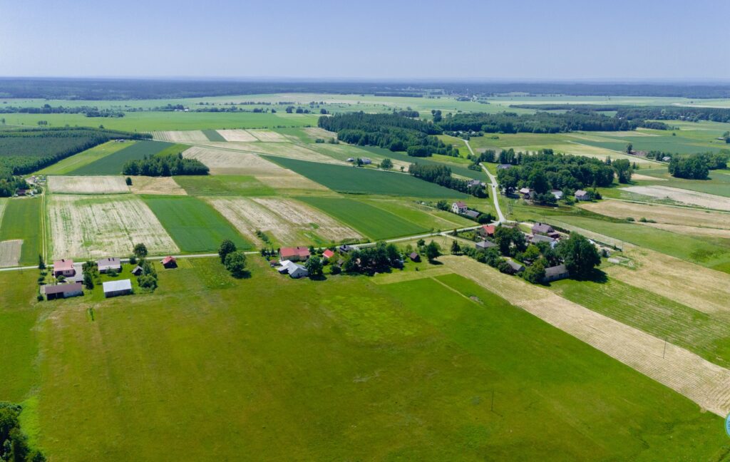 514035012 1034204178894344 1581367688905755556 n