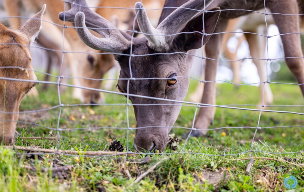 514251915 1034204955560933 1689469076098819344 n