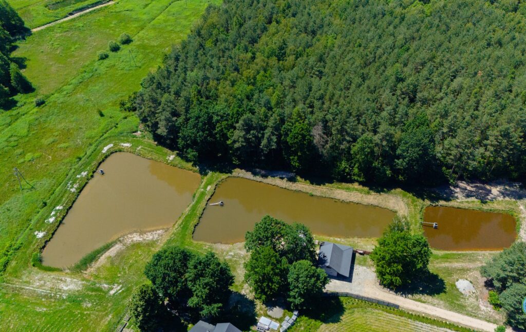 514262731 1034204605560968 1906404801036995549 n