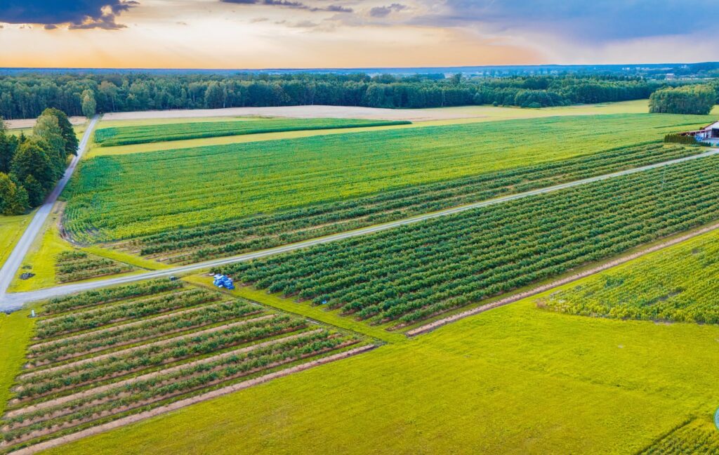 514265596 1046906430957452 8868391317763660454 n 514265596 1046906430957452 8868391317763660454 n