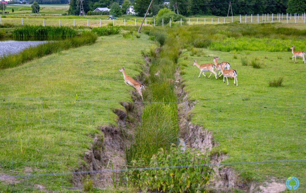 514277225 1034206645560764 545380193753803452 n