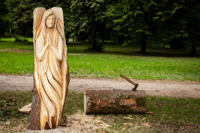 514350203 1035740485407380 4358191990268783146 n