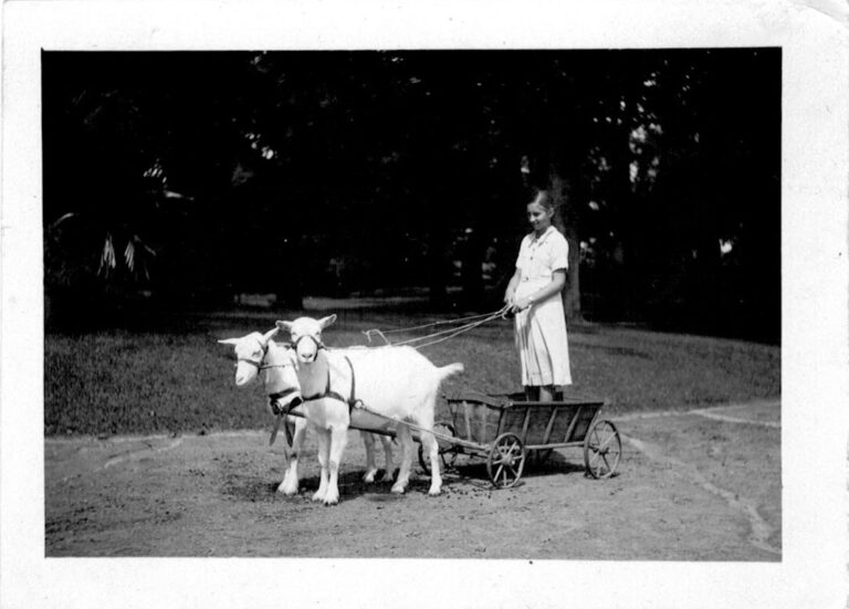 514423162 1262554795574428 1022891107530376306 n