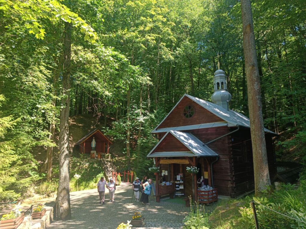 515018240 1395896201577304 8108489284348207366 n