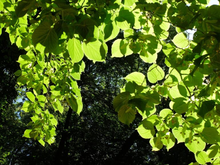 515264130 1289832266483707 729983366192677919 n