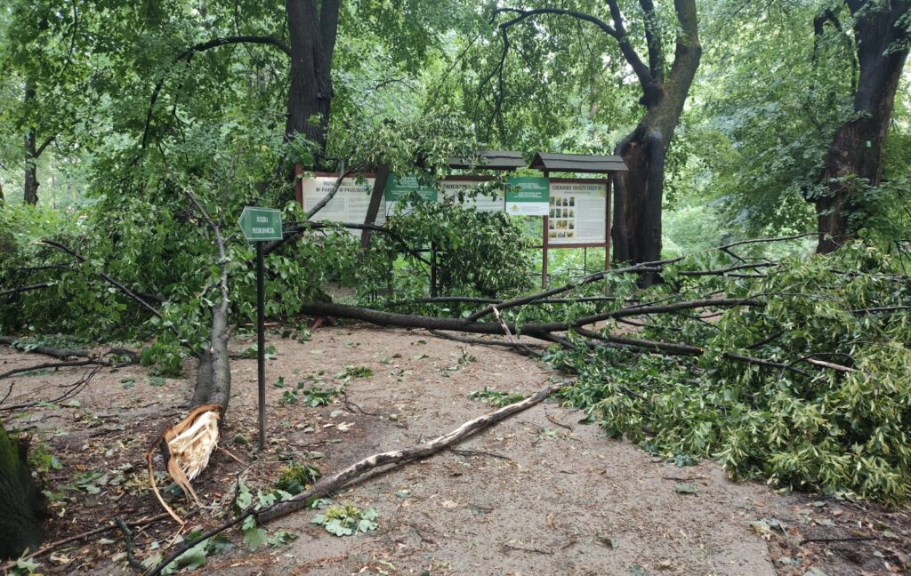 515490029 1294938389306428 5518962976697312137 n