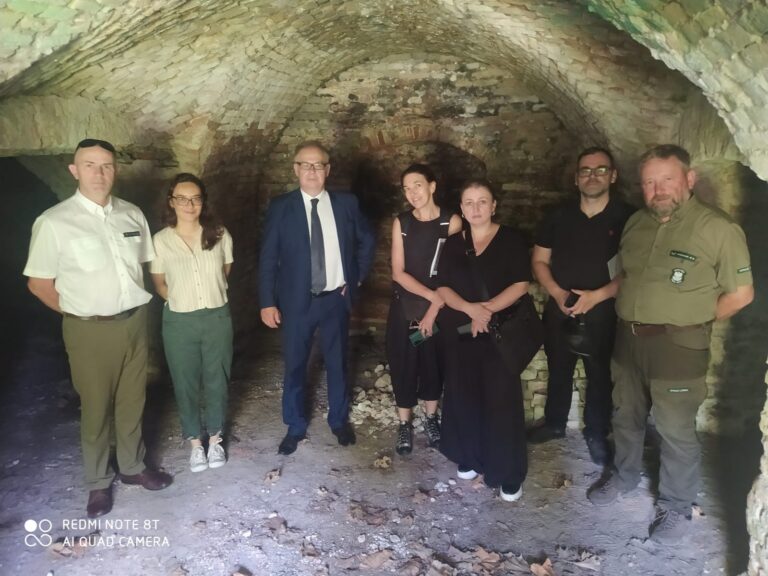 515496352 1124237436398194 897166708861224974 n