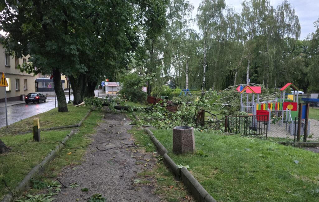 515831944 1194844122657080 2787361710094574094 n 515831944 1194844122657080 2787361710094574094 n