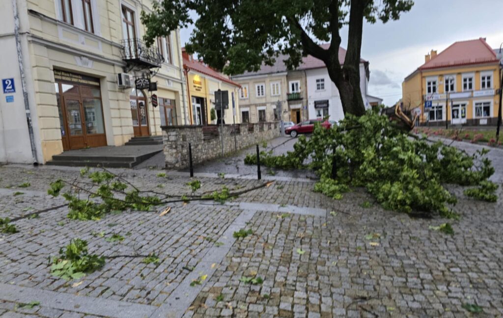 515934477 1194844292657063 2894938253151956693 n 515934477 1194844292657063 2894938253151956693 n