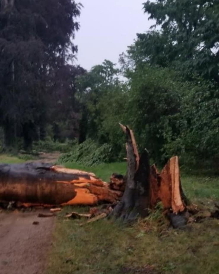 516009508 1327676182692185 6172585000582822492 N