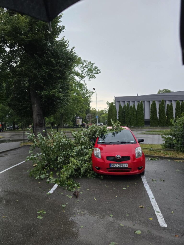 516085980 1194844012657091 5665092455097020611 n