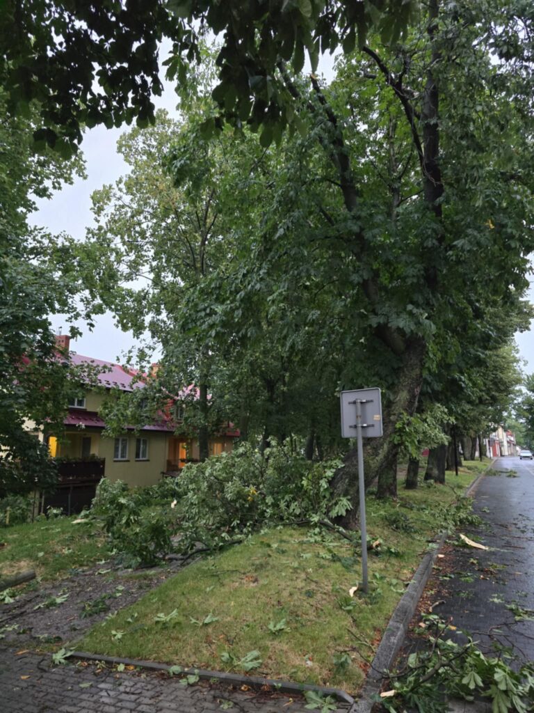 516094788 1194843992657093 9172165311389119062 n