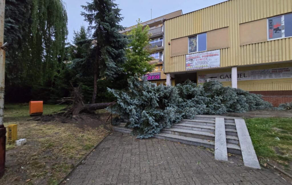 516367413 1194844165990409 630620189692993477 n 516367413 1194844165990409 630620189692993477 n