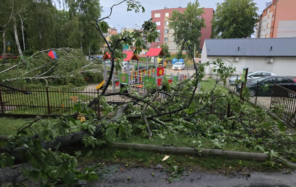 516392816 1194843895990436 3656396877507235589 n 516392816 1194843895990436 3656396877507235589 n