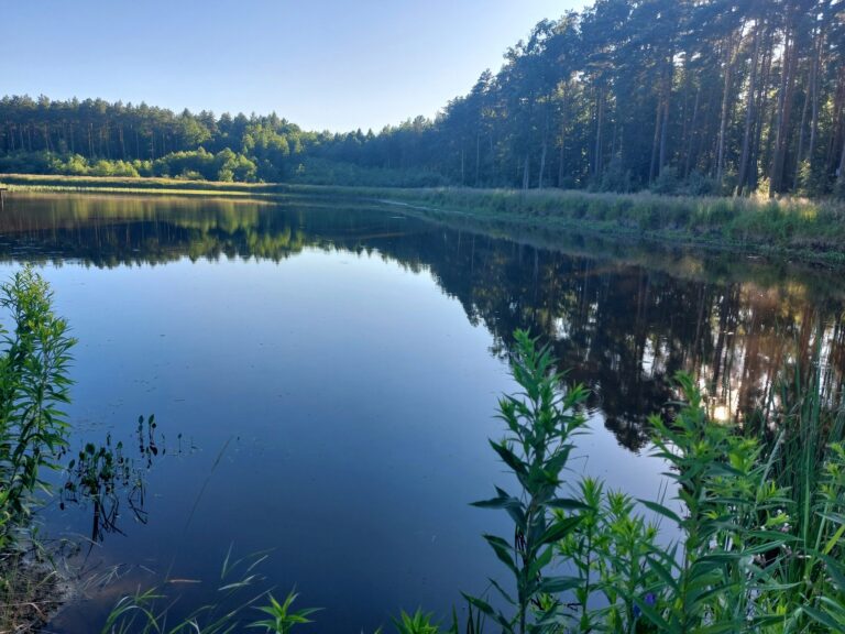 516398477 1170351735138156 1503519126898760893 n