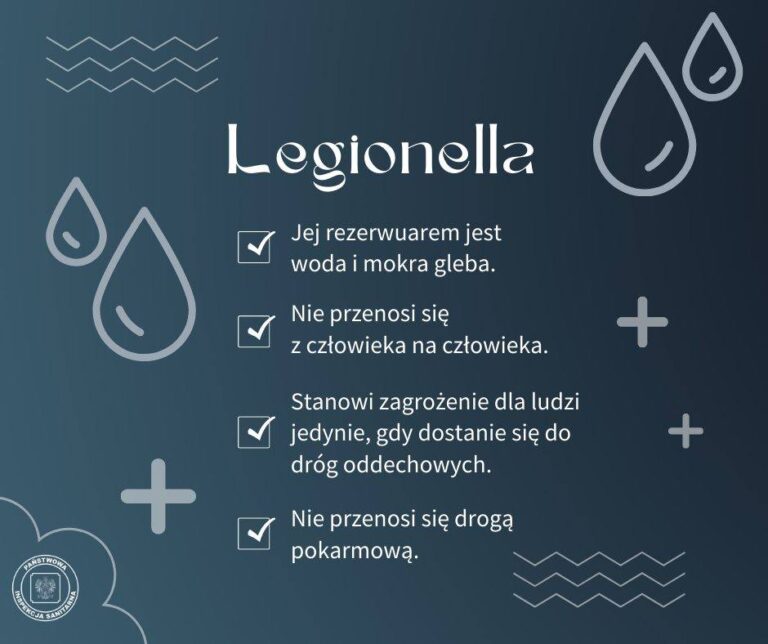 516450875 1129448232548863 2064997389840277567 n