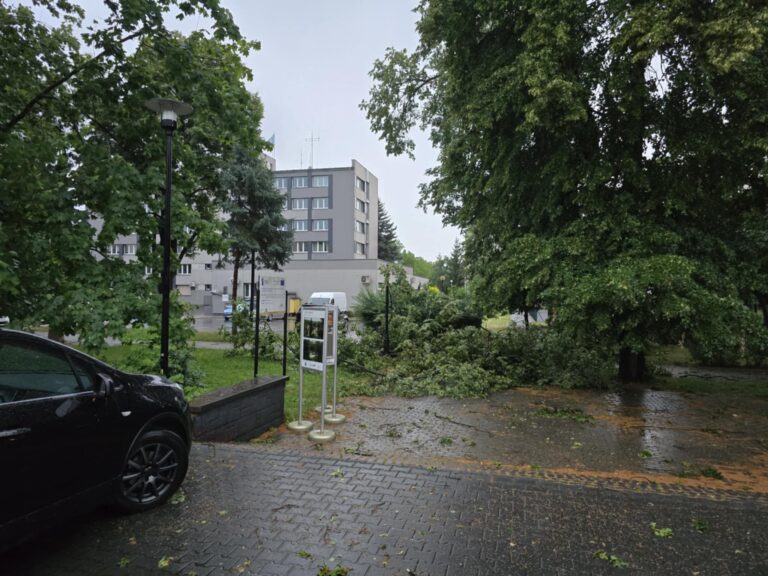 516547918 1194844212657071 3128086174855397367 n