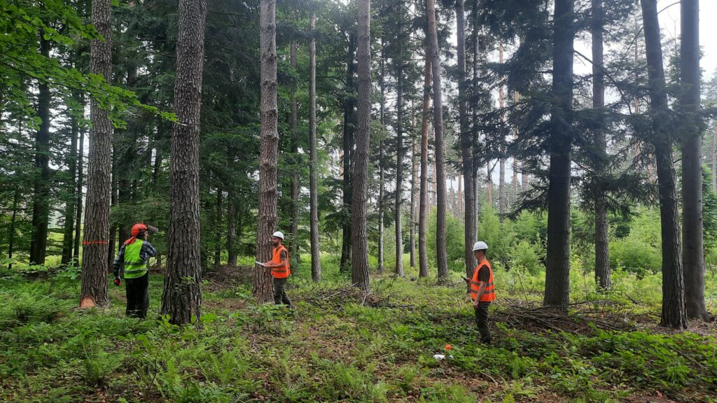 516614714 1135659498592415 185335156576576095 n