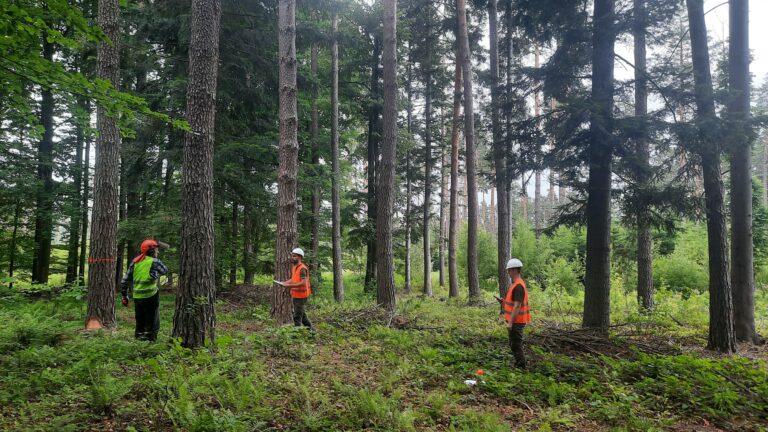 516614714 1135659498592415 185335156576576095 n