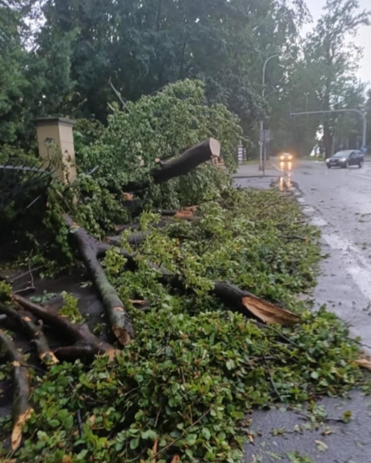 516618069 1327676139358856 1831369589646644051 N