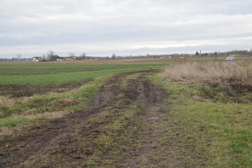 516725891 1138911254944054 7381088853233314227 n