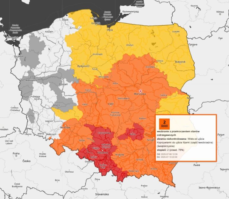 516772510 1249081307263571 569218352075182437 n