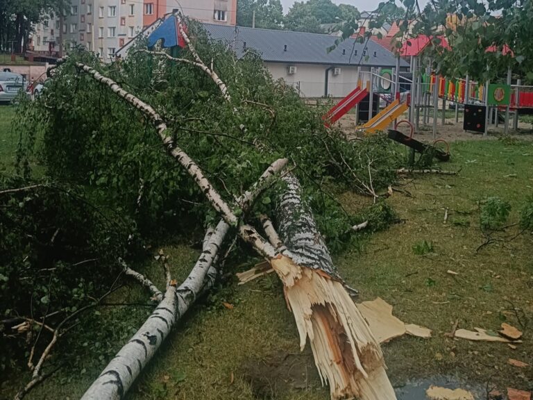 516773896 1244560784132239 7503486404922399724 n1