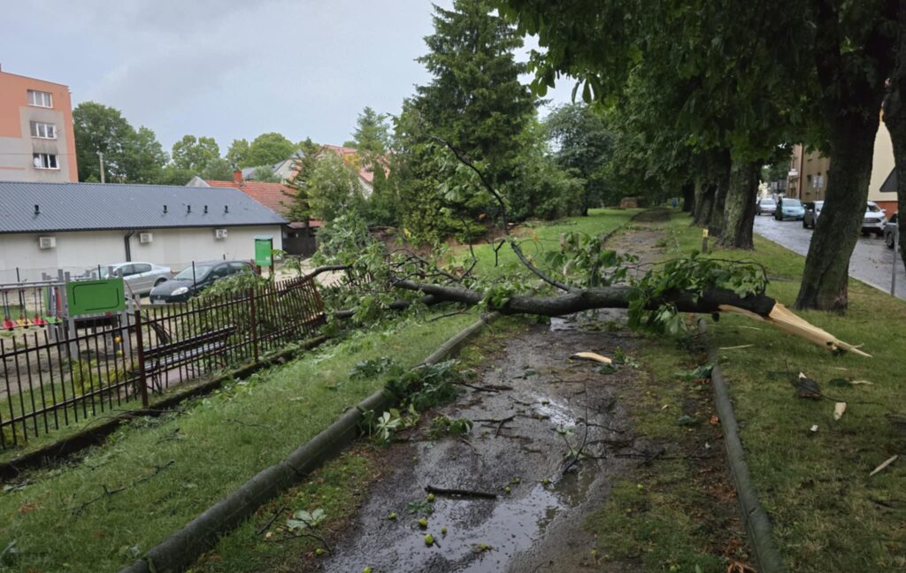 516944669 1194844295990396 5766466944961165885 n 516944669 1194844295990396 5766466944961165885 n