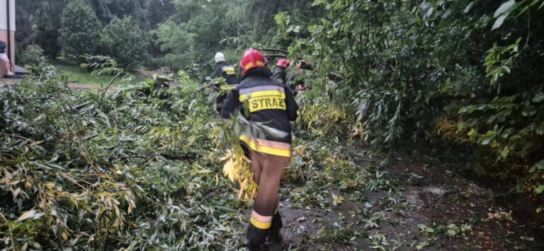 517001410 701311296232094 619224340584678395 n