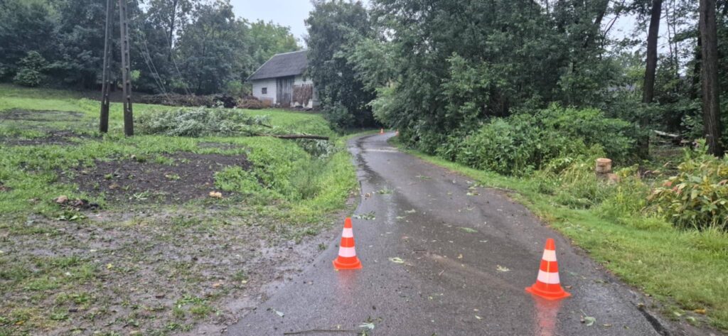 517012940 701313472898543 7901406227350241418 n