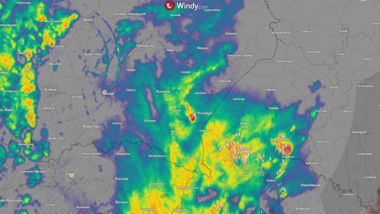 517038378 1424197865818249 2523852038871548117 n