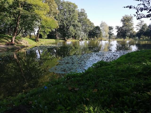 517122086 122277996776226451 256756958976847394 n