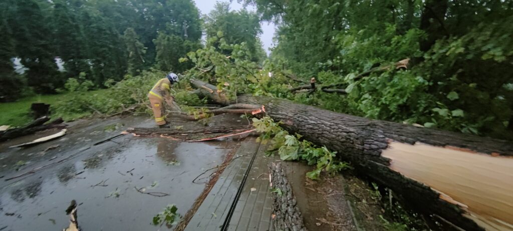 517124846 1139982718166138 1604956853701094812 n